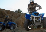 Yamaha Wolverine 350 Yamaha Wolverine 350
